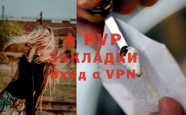 не бодяженный Ладушкин